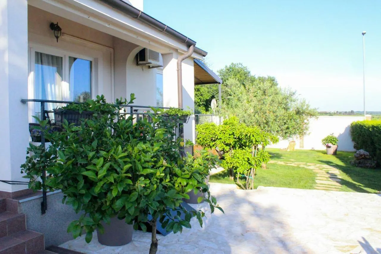 Apartments Lila Novigrad