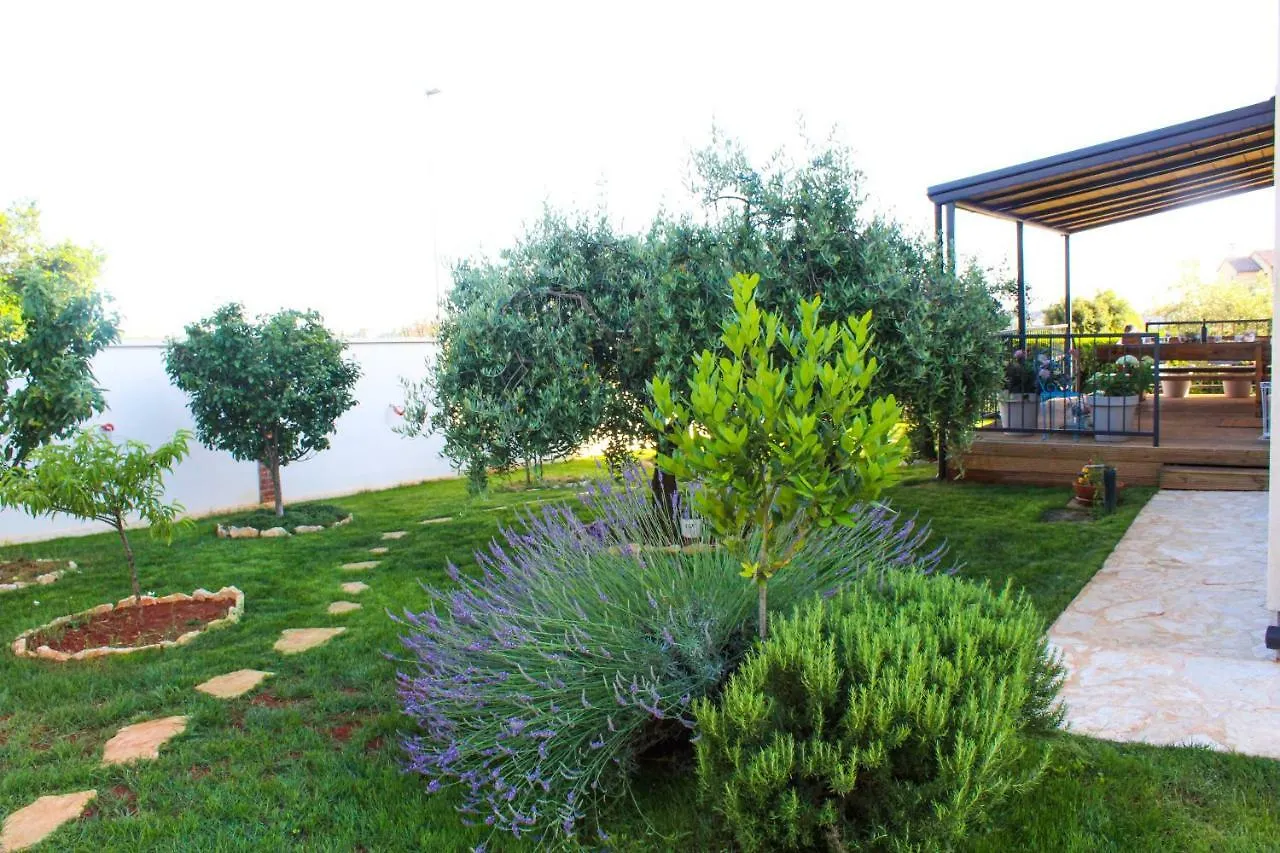 Apartments Lila Novigrad Croatia