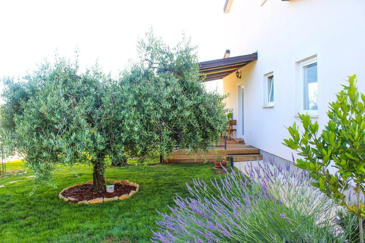 Apartments Lila Novigrad